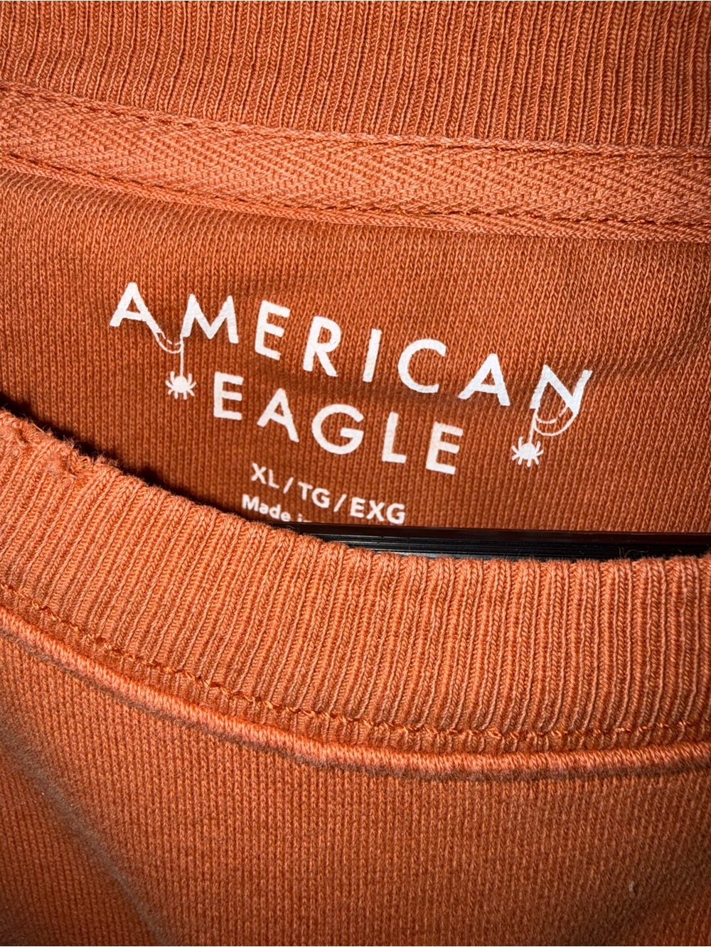 American Eagle Outfitters Orange Halloween Graphic Crewneck Sweatshirt - Picture 3 of 7